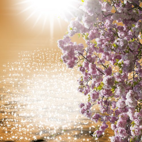 Reflection Haiku: Living Modern Lives the Simple Way - Lily Wang's English and Chinese Zen Shorts
