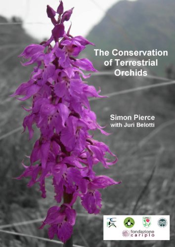 Conservation of Terrestrial Orchids