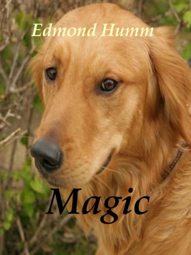 MAGIC (Dog Mysteries Book 1)
