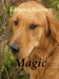 MAGIC (Dog Mysteries Book 1)