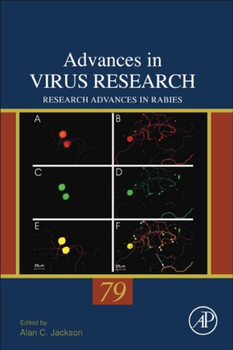 Research Advances in Rabies: 79 (Advances in Virus Research)