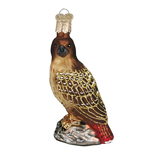 Old World Christmas Bird Watcher Collection Glass Blown Ornaments for Christmas Tree Red-Tailed Hawk