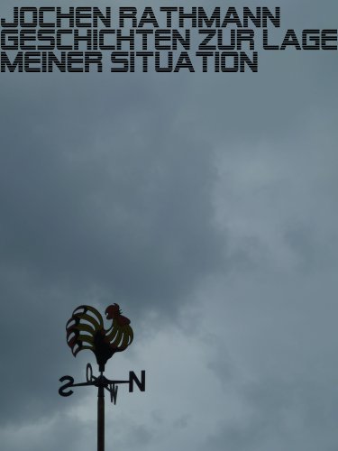 Geschichten zur Lage meiner Situation (German Edition)