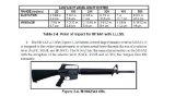 RIFLE MARKSMANSHIP M16A1, M16A2/3, M16A4, AND M4 CARBINE, Plus 500 free US military manuals and US Army field manuals when you sample this book