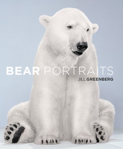 Bear Portraits