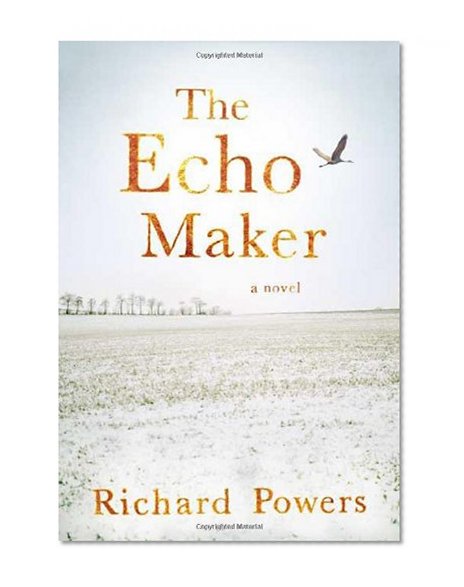 The Echo Maker: A Novel