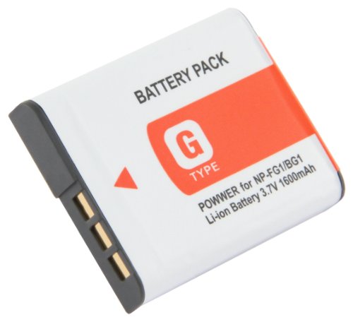 STK Sony NP-BG1 NP-FG1 Battery for Cybershot DSC-HX20V, DSC-H70, DSC-H90, DSC-HX9V, DSC-H20, DSC-HX5V, DSC-HX30V, DSC-W290, DSC-WX1, DSC-HX10V Cameras