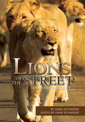 Lions in the Street:And Other Stories