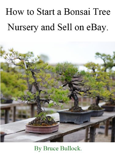 How to Start a Bonsai Tree Nursery and Sell on eBay