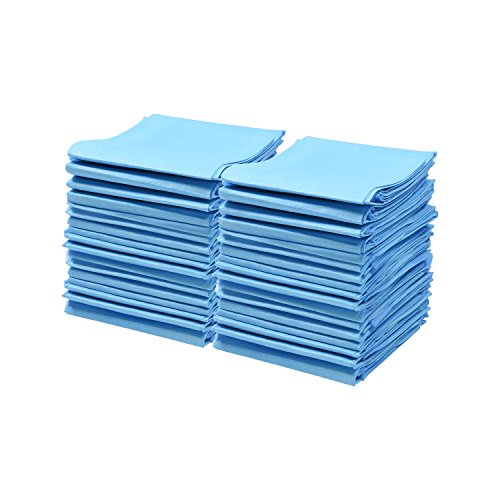 Book Cover A World Of Deals Disposable Blue Underpad 23 X 36, 150/Case