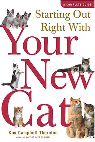 Starting Out Right With Your New Cat: A Complete Guide