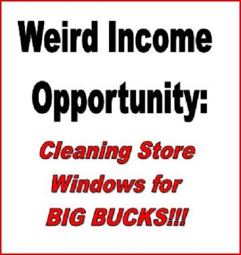 Weird Income Opportunity: Cleaning Store Windows for BIG BUCKS!!!!!