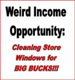 Weird Income Opportunity: Cleaning Store Windows for BIG BUCKS!!!!!