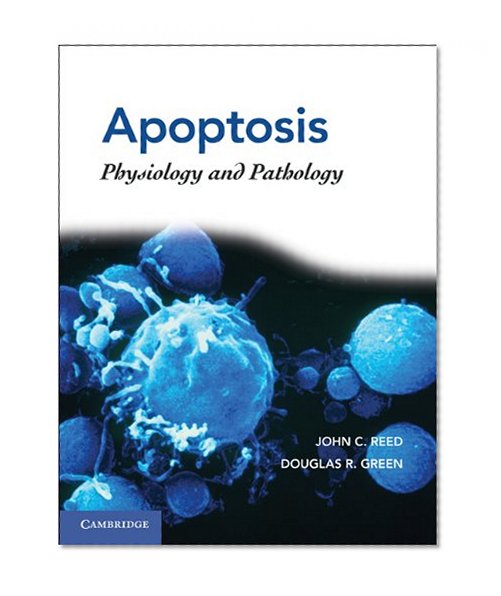 Apoptosis