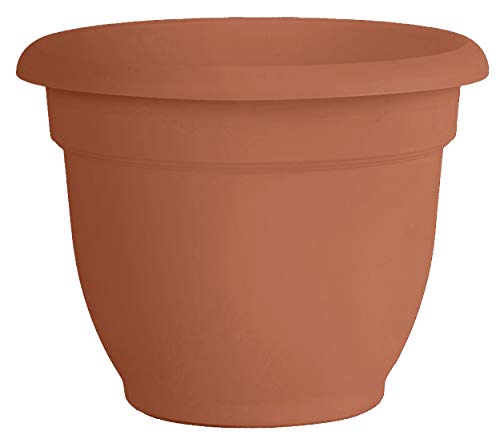 Bloem 20-56108 Fiskars Ariana with Self-Watering Grid, 8", Terra Cotta