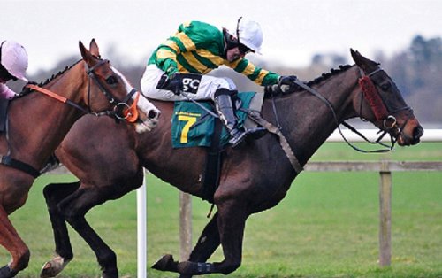 Ahead Of The Field Horse Racing System