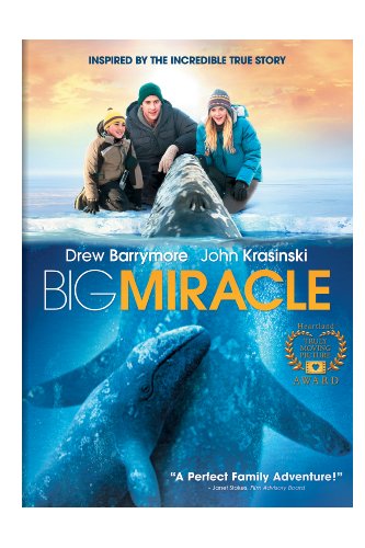Book Cover Big Miracle