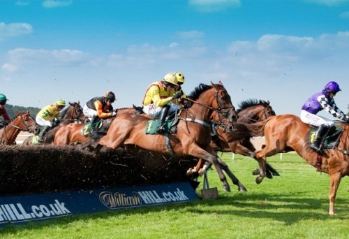 Double The Chance Horse Racing System