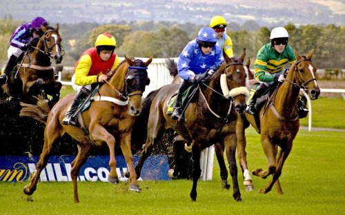 The Best Horse Race Betting Systems Compendium.
