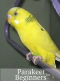 Parakeet for Beginners