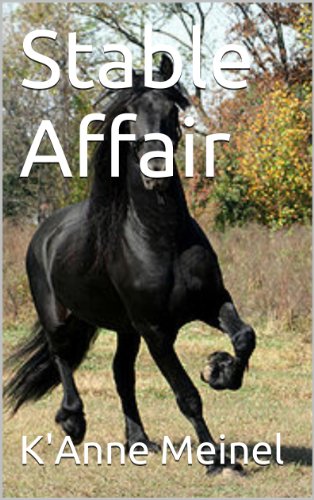 Book Cover Stable Affair