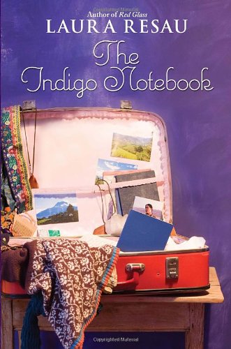 The Indigo Notebook (Indigo Notebook (Hardback))