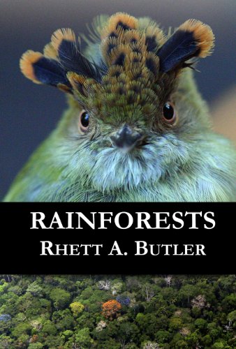 Rainforests