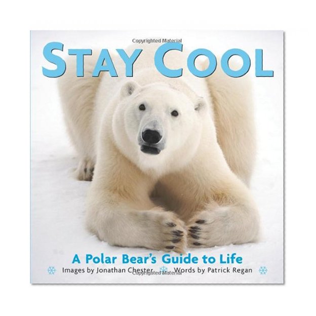 Stay Cool: A Polar Bear's Guide to Life