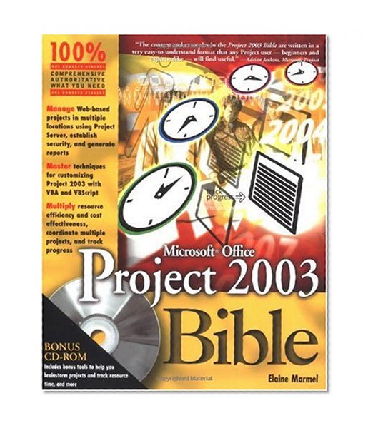 Microsoft Office Project 2003 Bible (Bible (Wiley))