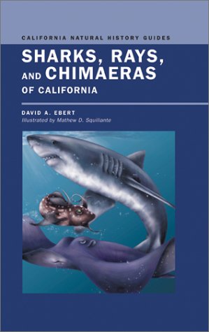 Sharks, Rays, and Chimaeras of California (California Natural History Guides)