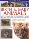 Wild Animal Planet: Birth and Baby Animals: Compare the way reptiles, mammals, sharks, birds and insects are born, find out about the amazing way new life survives and adapts in the wild