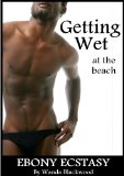 Getting Wet at the Beach (Ebony Ecstasy Book 3)