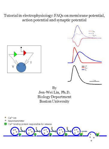 Tutorial on electrophysiology: FAQs on membrane potential, action potential and synaptic potential