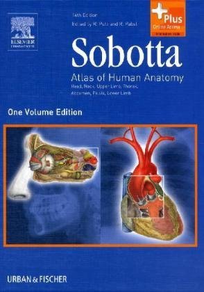 By Reinhard Putz: Sobotta - Atlas of Human Anatomy Single Volume Edition: Head, Neck, Upper Limb, Thorax, Abdomen, Pelvis, Lower Limb (Sobotta Atlas of Human Anatomy, 1 Vol) Fourteenth (14th) Edition