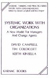 Systemic Work with Organizations: A New Model for Managers and Change Agents (The Systemic Thinking and Practice Series - Work with Organizations)