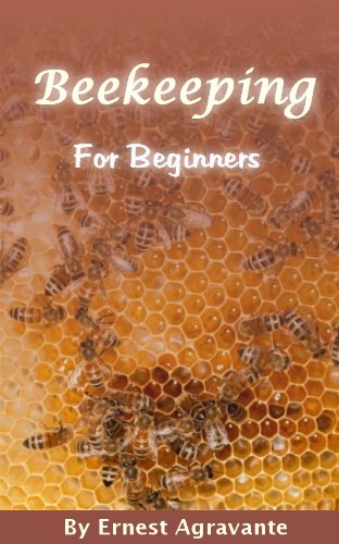 Beekeeping For Beginners
