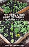 How To Build A Raised Garden Bed And Plant Vegetables In A Day