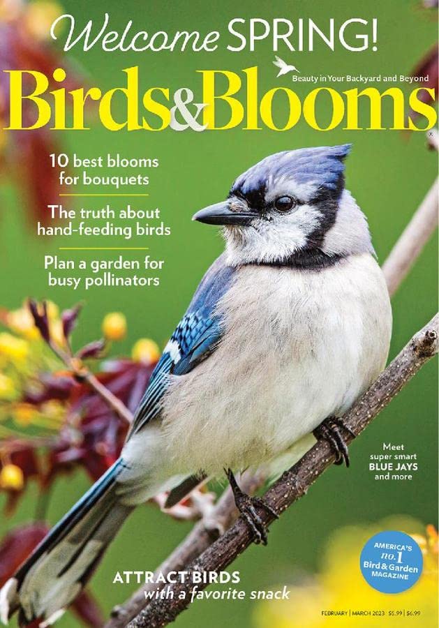 Book Cover Birds & Blooms Print Magazine