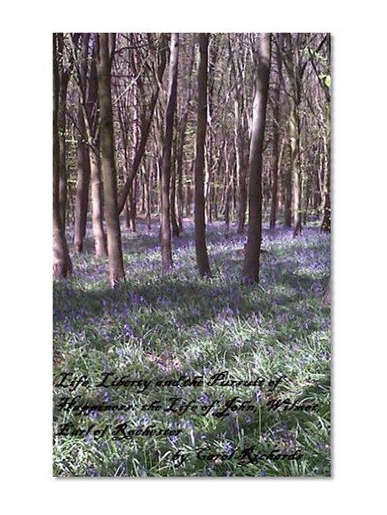 Life, Liberty and the Pursuit of Happiness:the Life of John Wilmot, Earl of Rochester