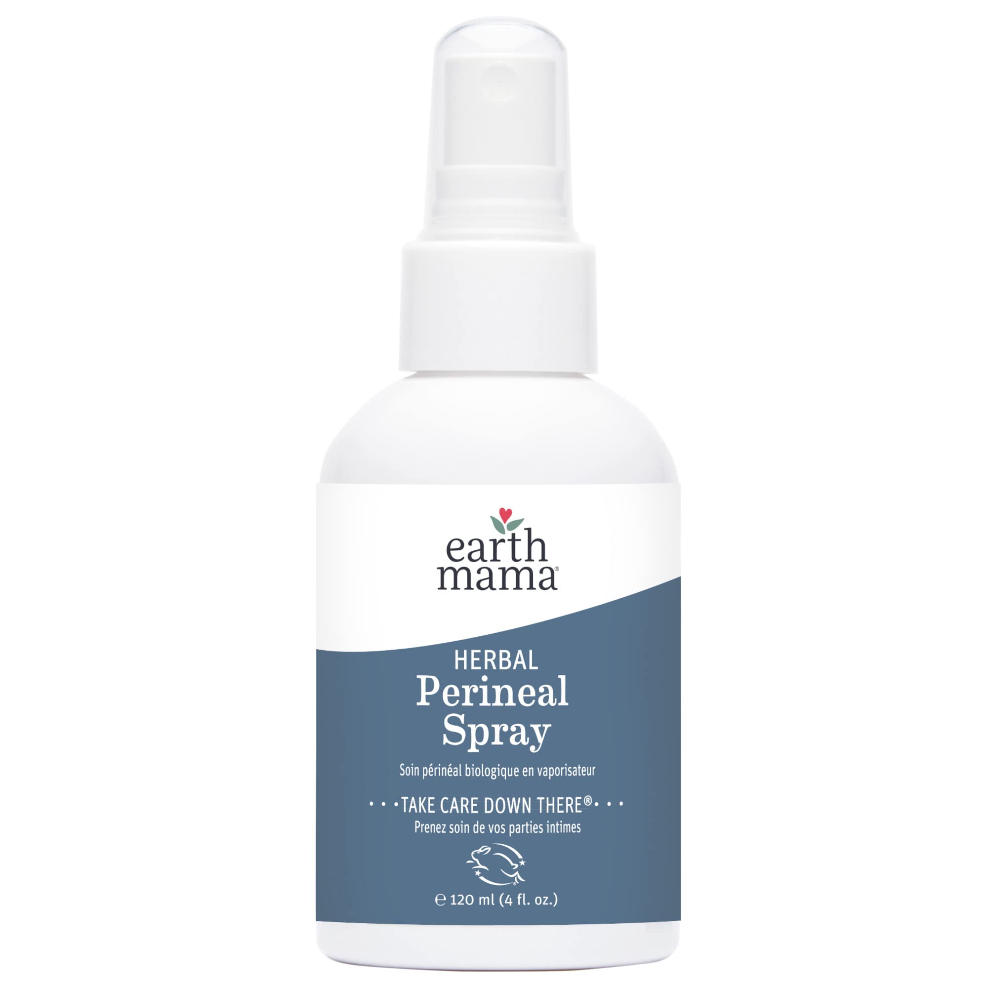 Earth Mama Herbal Perineal Spray | Safe for Pregnancy and Postpartum Recovery, Witch Hazel Natural Cooling Spray For After Birth Feminine Care Essentials, Benzocaine & Butane Free, 4-Fluid Ounce Unscented 4 Fl Oz (Pack of 1)