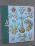 Life: an unauthorised biography: a natural history of the first four billion years of life on earth
