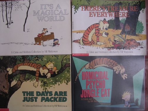 Calvin & Hobbes Box Set of 4 ; Magical World, Days Packed, Treasure Everywhere, Jungle Cat