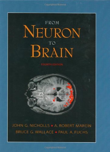 By John G. Nicholls - From Neuron to Brain: 4th (fourth) Edition