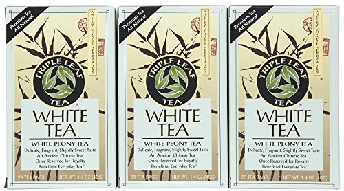 Triple Leaf White Tea - 20 bags per pack -- 6 packs per case.