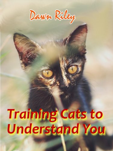 Training Cats: To Understand You