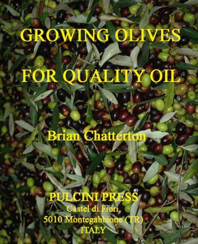 Growing olives for quality oil