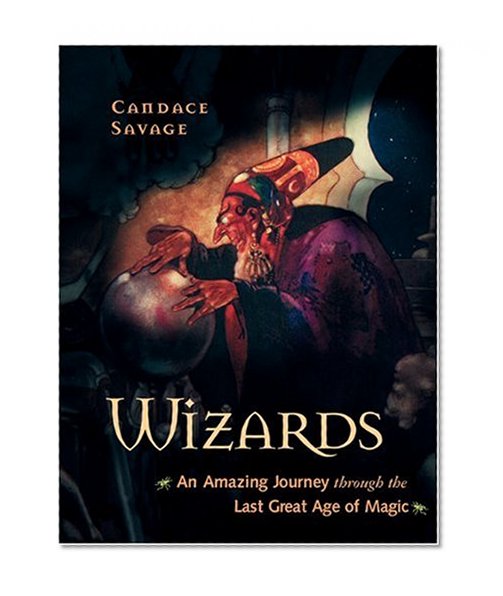 Wizards: An Amazing Journey Through the Last Great Age of Magic