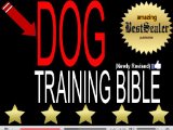 Dog Training Bible: Dog Tricks And Dog Treats So You Don't Need a Trip To Get It For FREE [Newly Revised Book]