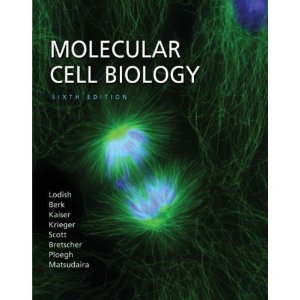 Molecular Cell Biology 6th (Sixth) Edition byLodish