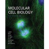 Molecular Cell Biology 6th (Sixth) Edition byLodish
